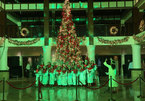 Christmas season comes to Da Nang, Hoi An