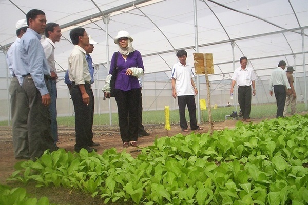 Khuyến khích hợp tác, liên kết để phát triển bền vững nông nghiệp nông thôn