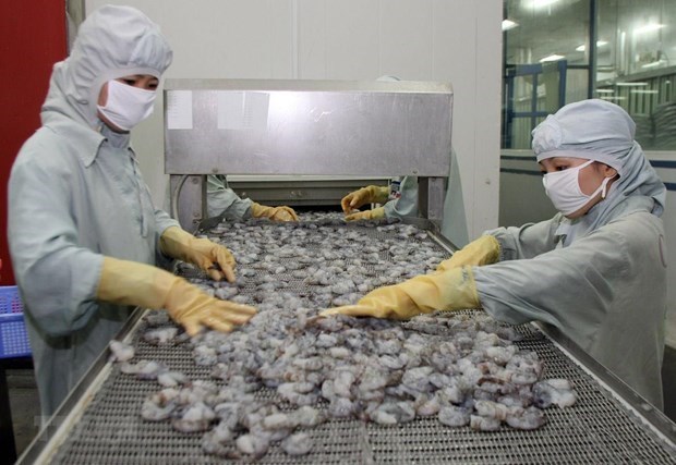 Shrimp exports slide further in 2019, better outlook expected next year