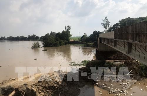 Vietnam ranks sixth in Global Climate Risk Index