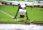 Drones now used by Vietnam’s rice farmers