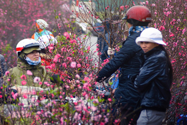 Rét đậm tập trung trong 2 tháng đầu năm 2020