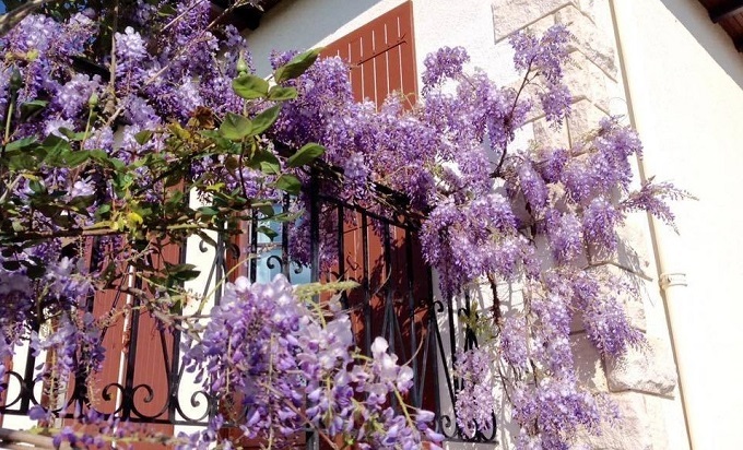 Tuyển nam trợ lý cho chồng, vợ đại gia ôm đầu nhận quả đắng