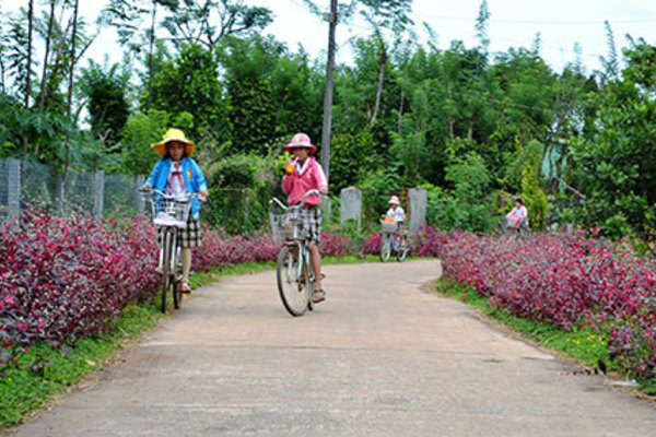 Xây dựng nông thôn mới, nhìn từ thành công của Đồng Nai