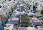 Additional five Vietnamese seafood firms eligible to export to Russia