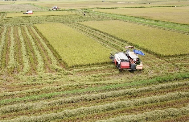 Thái Bình có thêm huyện thứ 3 đạt chuẩn nông thôn mới năm 2019