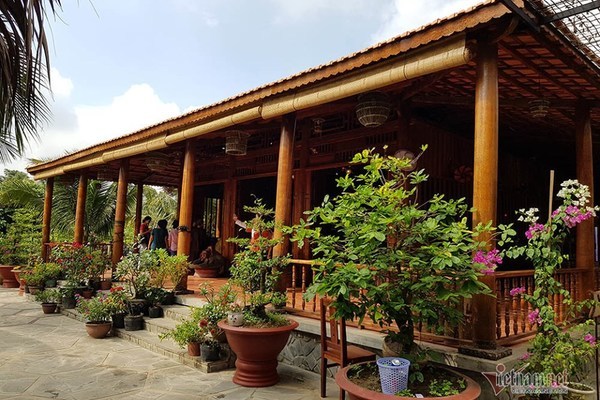 Lùng dừa trăm tuổi 10 năm, vợ chồng lão nông cất nhà độc nhất miền Tây