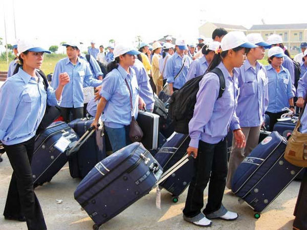 More than 132,000 Vietnamese go overseas for work in 2019