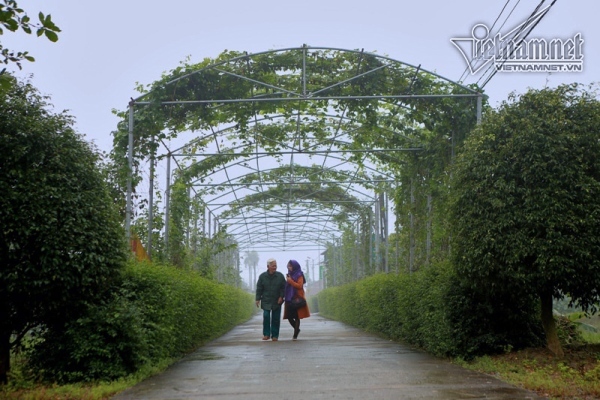 Hương Sơn, Hà Tĩnh đặt mục tiêu đạt huyện nông thôn mới năm 2020