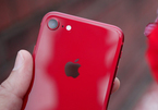 iPhone SE 2 giá rẻ sắp ra mắt có tên gọi hoàn toàn mới?