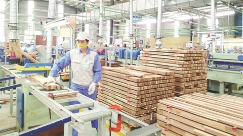 Foreign investment increases in wood processing industry