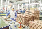 Foreign investment increases in wood processing industry