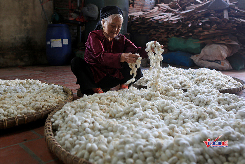 TPHCM có nhiều mô hình nông nghiệp hiệu quả do người dân được đào tạo nghề