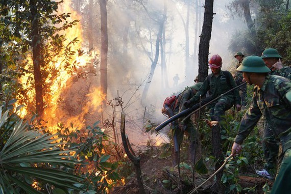 Man sentenced 7 years in prison for careless trash burning causing forest fire