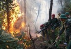 Man sentenced 7 years in prison for careless trash burning causing forest fire