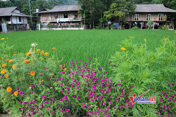 Xây dựng NTM, huyện Krông Nô, tỉnh Đắk Nông đã thực hiện nhiều giải pháp để nâng cao đời sống, thu nhập cho người dân.