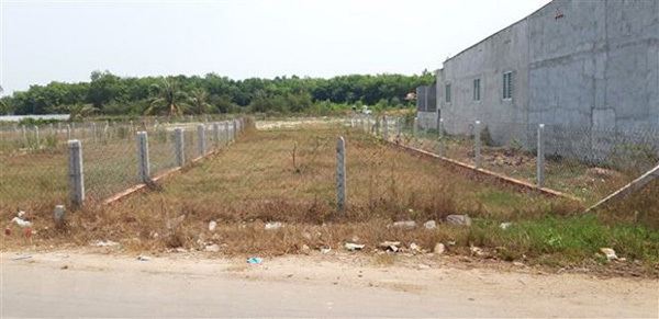 Hai Phong to review land violations