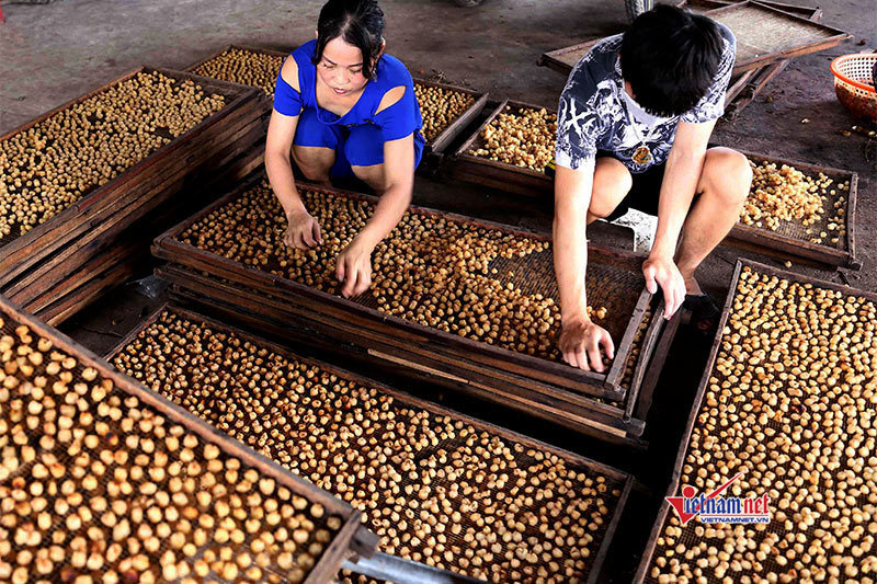 Trung bình mỗi năm hơn 4.000 lao động Tây Ninh được đào tạo nghề