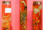 Ngoc Linh Ginseng Museum opens in HCM City