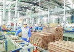 Vietnam's export of timber and wood products exceeds US$9 billion