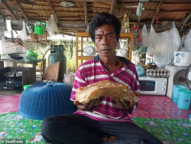 Lại nhặt được cục đá có thể là cục nôn cá voi trị giá hơn 2,4 tỷ
