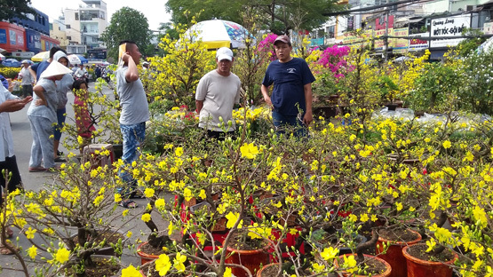 HCM City to open 170 flower markets during Tet