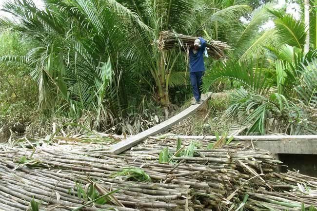 Local sugar firms concerned by reduced import tariffs under ATIGA