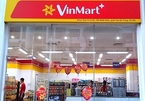 Vietnamese billionaires join hands to develop domestic retail network