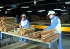 VN forestry export expected to hit record $11.3 billion in 2019