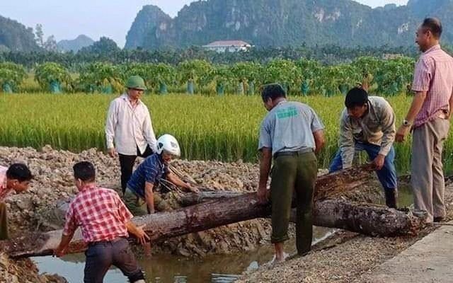 Evidence of Battle of Bach Dang uncovered in Haiphong