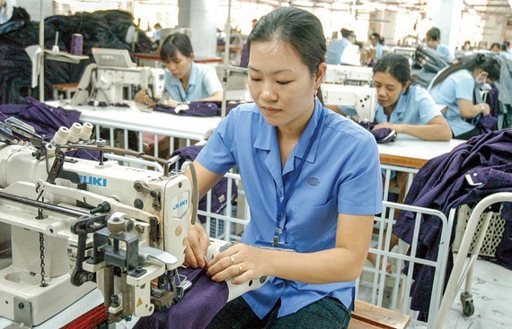 Wide-opened doors for Vietnamese products to enter EU market