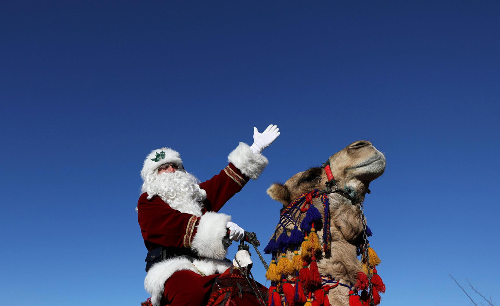 'Ông già Noel' cưỡi lạc đà tặng quà Giáng sinh
