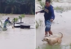 Người đàn ông giải cứu chú chó giữa dòng nước lũ