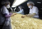 Vietnam targets US$4 billion from cashew exports in 2020