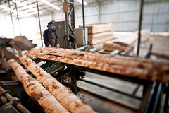 Wood industry seeks more material suppliers