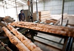 Wood industry seeks more material suppliers