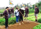 Hoi An gears up for tours to Tra Que vegetable village