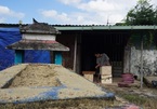 Ớn lạnh khu dân cư ‘sống chung với hàng nghìn người chết’ ở Đà Nẵng
