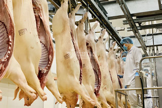 Chờ mãi rồi cũng giảm, từ 1/4 giá thịt lợn còn 70 ngàn/kg