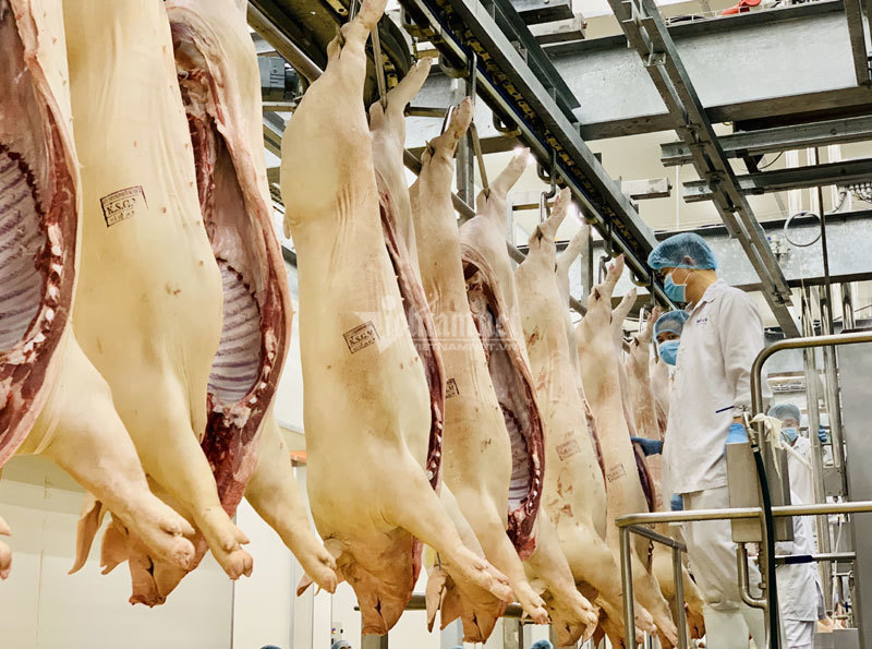 Bộ trưởng kêu gọi giảm giá thịt lợn ngay lập tức