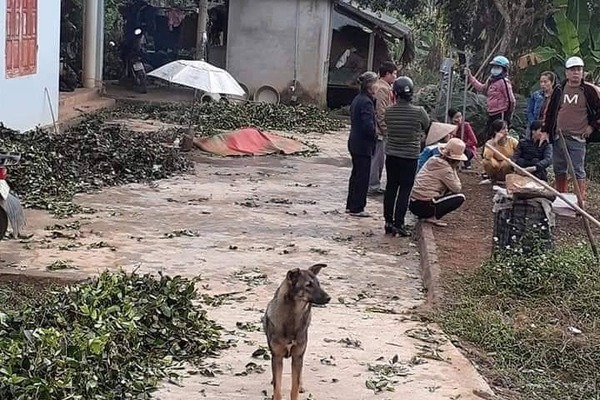 Đối tượng nghi ngáo đá đâm chết 5 người ở Thái Nguyên