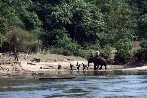 WWF helps Vietnam combat wildlife trafficking