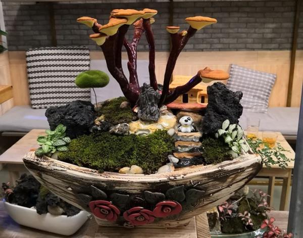 Giá đắt đỏ tiền triệu, nấm linh chi bonsai vẫn hút khách