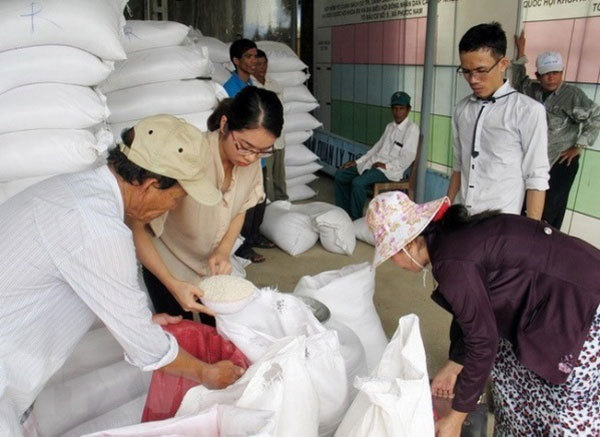 Over 110,700 tonnes of rice from reserve allocated to localities