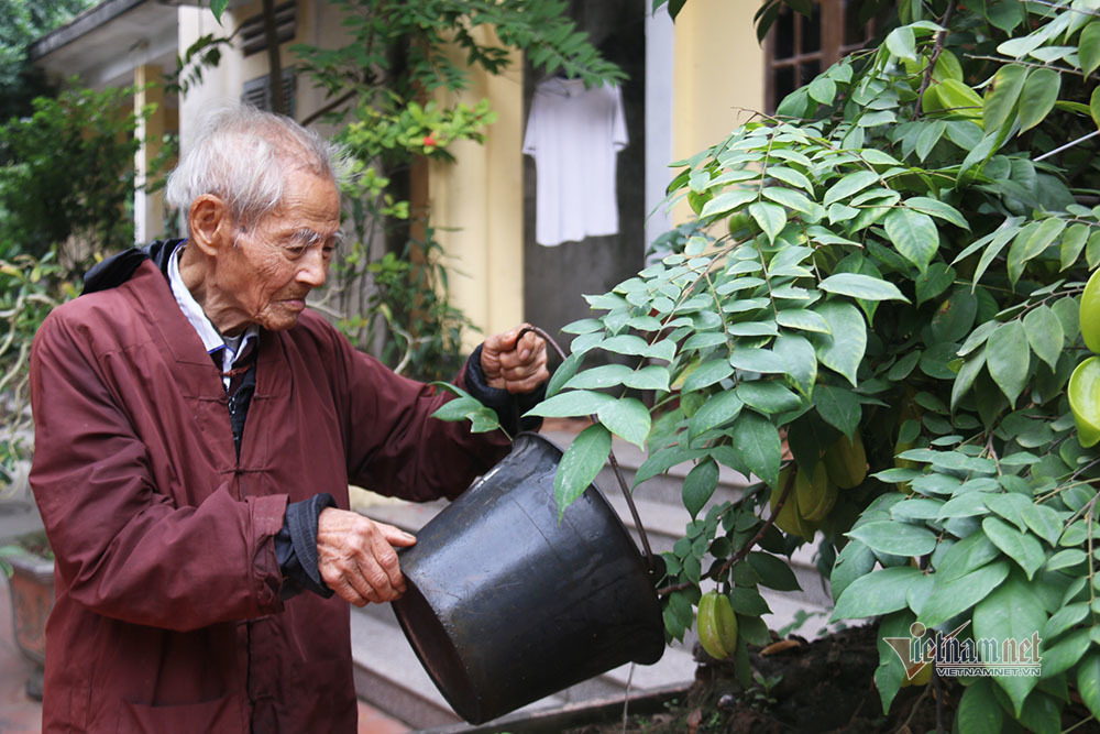 Bí quyết giúp cụ ông 101 tuổi vẫn cuốc đất, trồng cây ở Ninh Bình