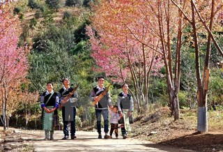 To Day blossoms brighten up Mu Cang Chai mountainous area