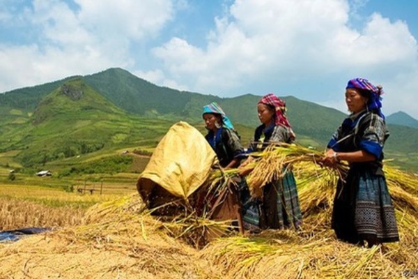 7 giải pháp đột phá để đất nước phát triển nhanh và bền vững