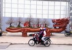 Rồng cuộn ngũ cây tiền tỷ giữa phố Hà Nội, khách qua đường xuýt xoa
