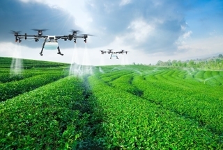 Digital transformation key driver for agriculture