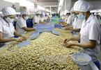 Industry calls for national technical regulation for raw cashew